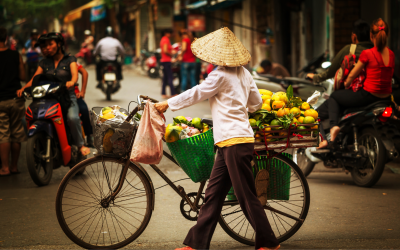 Vietnamese Labour Force in 2025